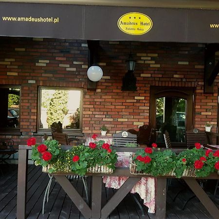 Amadeus Hotel Zielona Gora المظهر الخارجي الصورة